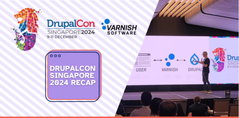 DrupalCon Singapore 2024 Recap